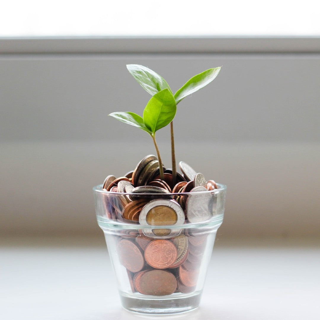 Save Money By Planning Your Shopping Trip Ahead Of Time